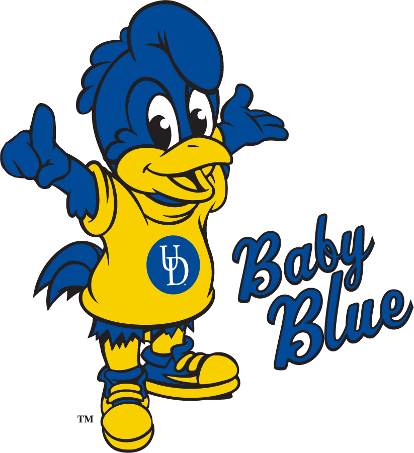 Delaware Blue Hens 2018-Pres Mascot Logo iron on transfers for T-shirts